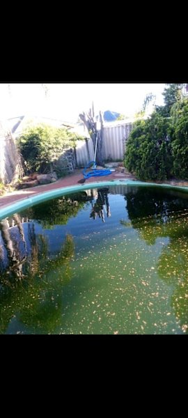 Green Pool cleaning - Pool Cleaner