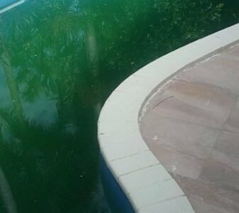 Pool Cleaning Service and Maintenance $85