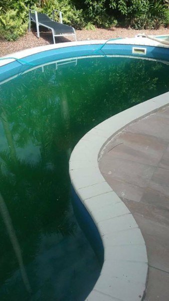 Pool Cleaning Service and Maintenance $85