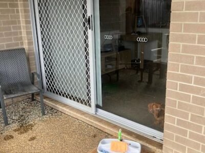 Little blues Window Cleaning