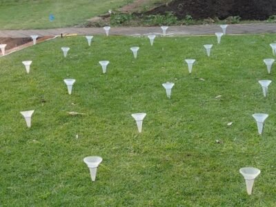 Gardens, trees & property clean-up