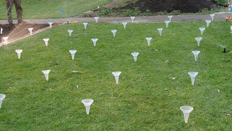 Gardens, trees & property clean-up