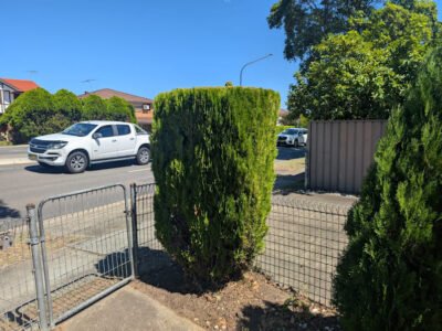 Affordable Lawn mowing service - Free quotes