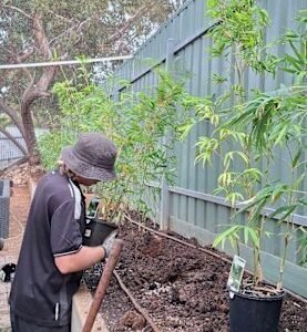 Landscaping & Garden Maintenance