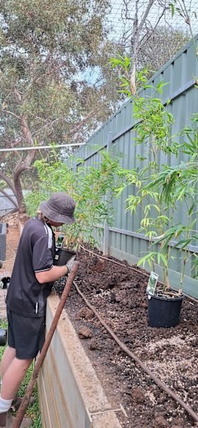 Landscaping & Garden Maintenance