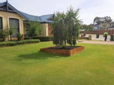 Nulawn Lawnmowing & Vertimowing