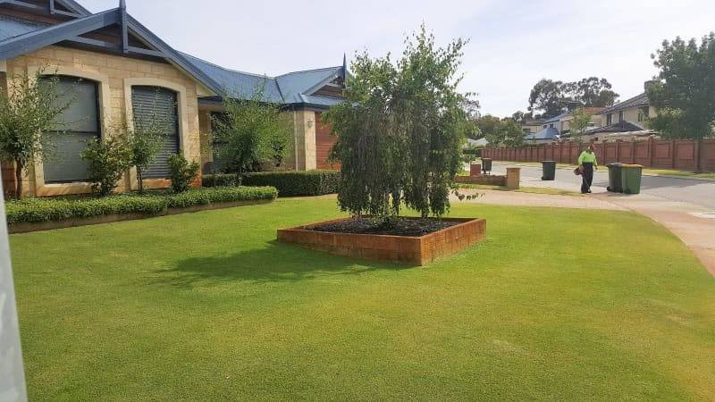 Nulawn Lawnmowing & Vertimowing