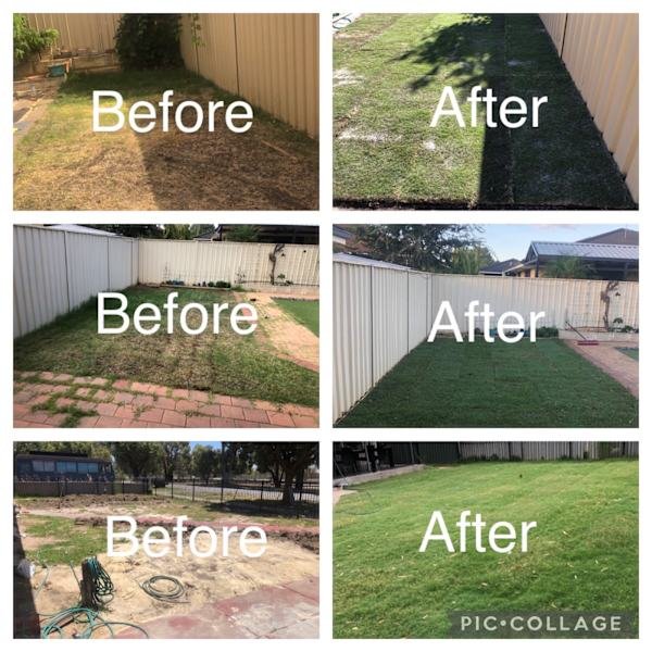 Gardening, landscaping service and maintenance and gutters cleaning