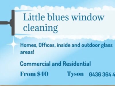 Little blues Window Cleaning