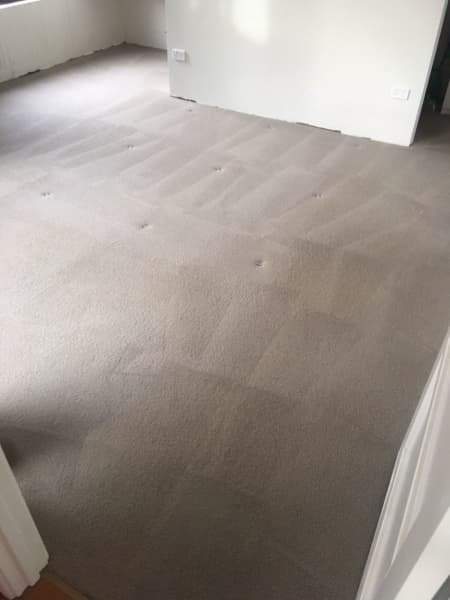 End of lease/vacate cleaning/steam carpet cleaning