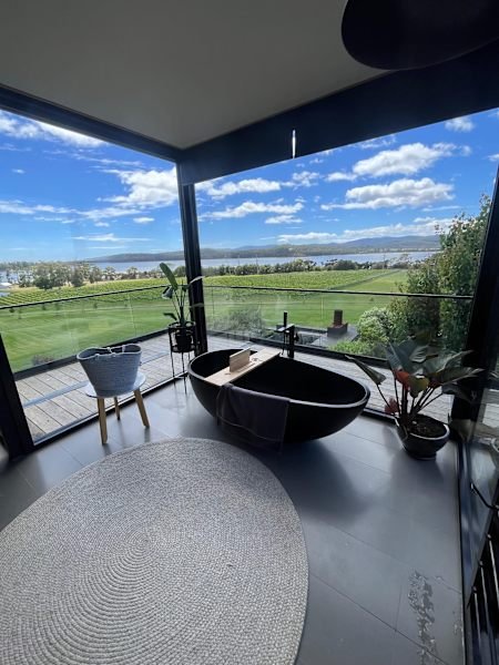 Window Cleaning Services