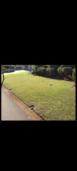 GARDENING WEEDING LAWN MOWING CHAINSAW WORK