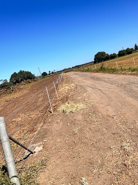 Excavation & Earthmoving