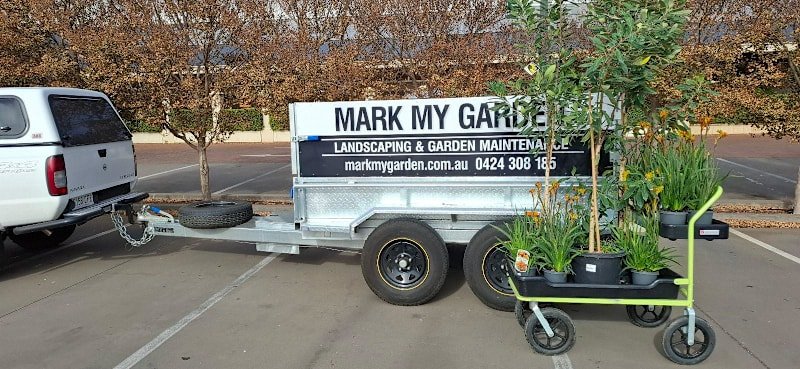 Landscaping & Garden Maintenance