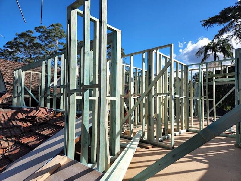 Carpenter/Builder looking for work