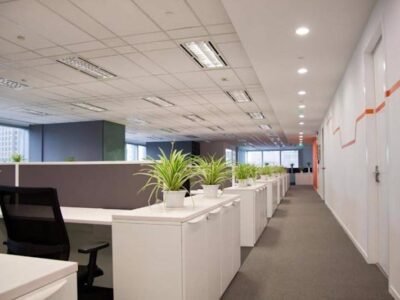 Pro 79 cleaning services