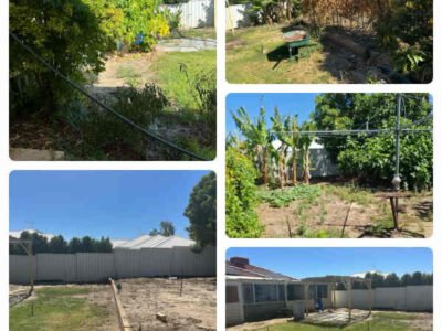 Gardening, landscaping service and maintenance and gutters cleaning