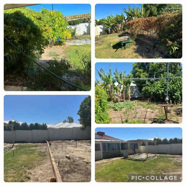 Gardening, landscaping service and maintenance and gutters cleaning