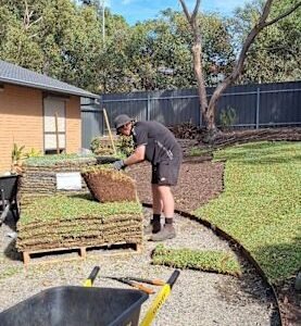 Landscaping & Garden Maintenance