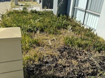 Gardening Services AND Gutters Cleaning