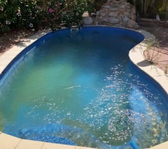Pool Cleaning Service and Maintenance $85