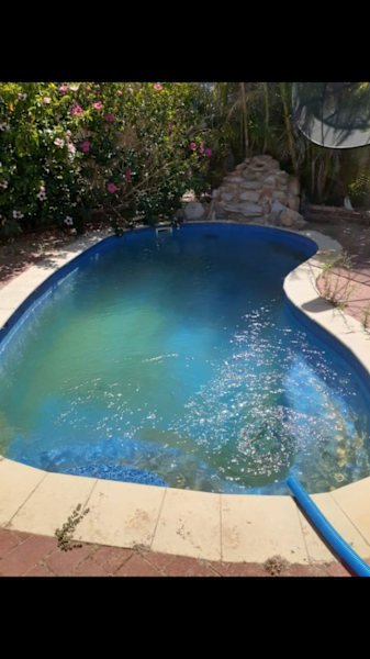 Pool Cleaning Service and Maintenance $85