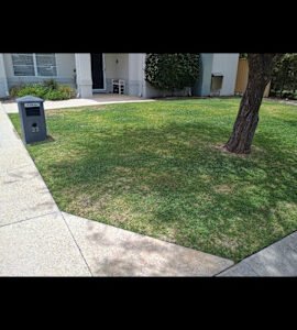 gardening weeding hedging mulching lawn mowing