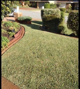 GARDENING WEEDING LAWN MOWING CHAINSAW WORK