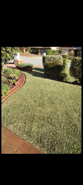 GARDENING WEEDING LAWN MOWING CHAINSAW WORK