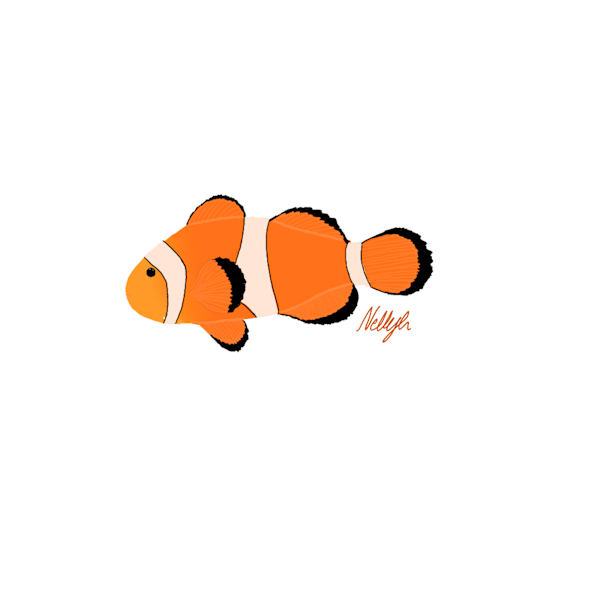 NIXY Graphics - Logos & designs