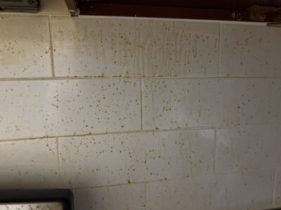 Pro 79 cleaning services