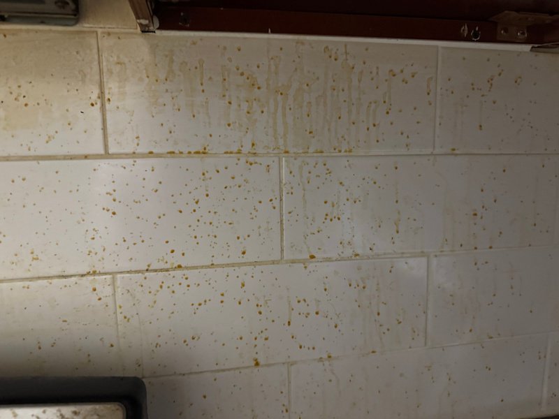 Pro 79 cleaning services