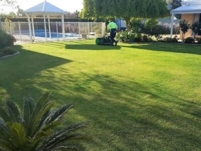 Nulawn Lawnmowing & Vertimowing