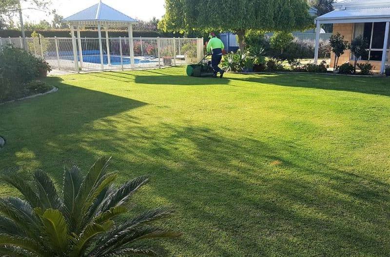 Nulawn Lawnmowing & Vertimowing