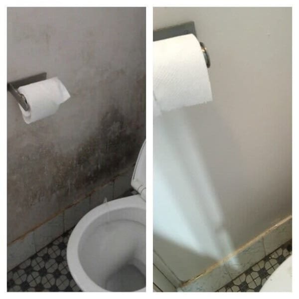 End of lease/vacate cleaning/steam carpet cleaning