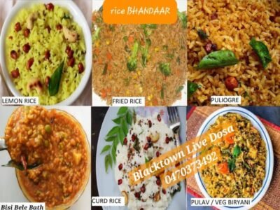 BLACKTOWN LIVE DOSA CATERING SERVICES