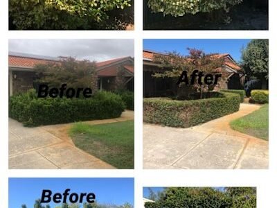 Gardening, landscaping service and maintenance and gutters cleaning