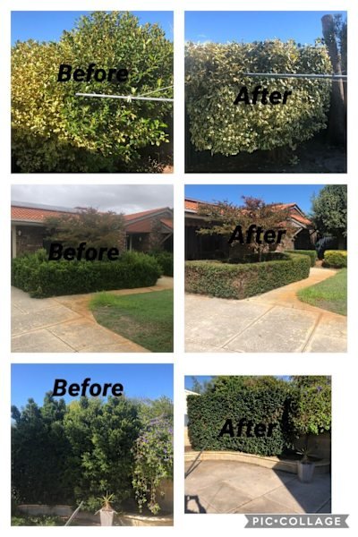 Gardening, landscaping service and maintenance and gutters cleaning