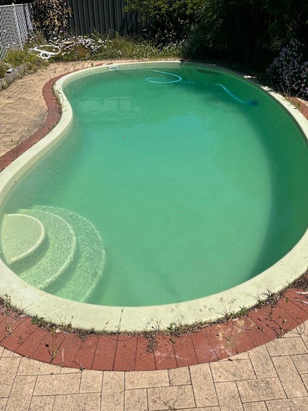 Pool Cleaning Service and Maintenance $85