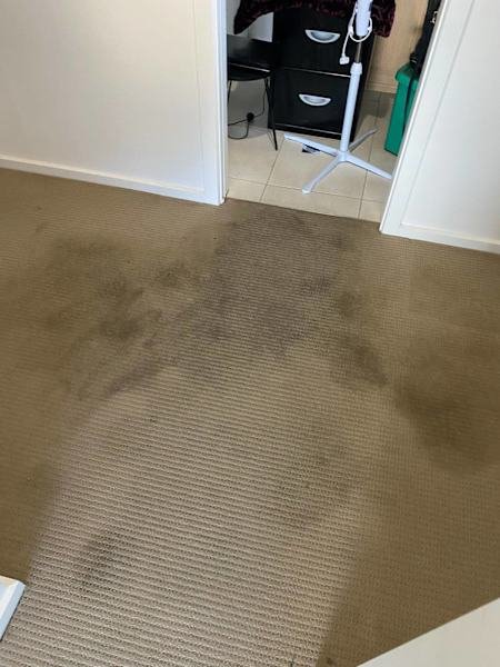 U See cleaning services