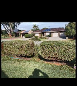 GARDENING WEEDING LAWN MOWING CHAINSAW WORK