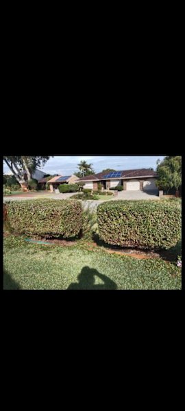 GARDENING WEEDING LAWN MOWING CHAINSAW WORK