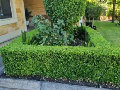 Gardens, trees & property clean-up