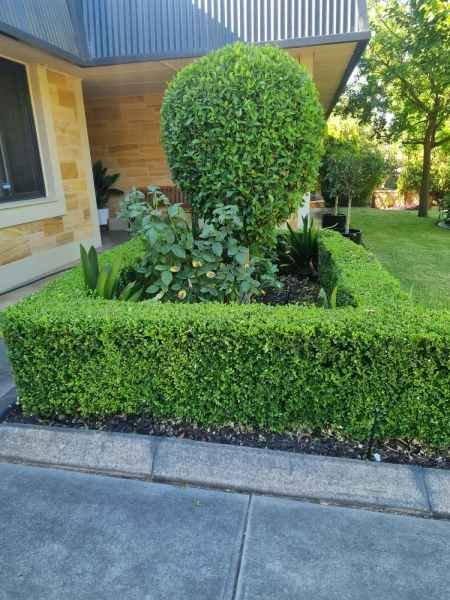 Gardens, trees & property clean-up