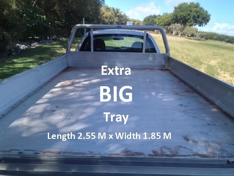 Man with EXTRA BIG TRAY Ute - From $50 - Fast & Efficient