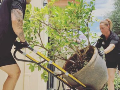 Furniture Removals, Two Removalists with truck, Delivery, MOVER