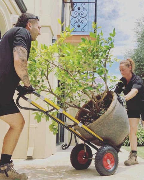 Furniture Removals, Two Removalists with truck, Delivery, MOVER