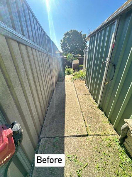 Lawn mowing & Garden services