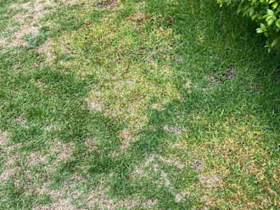 Fast scrap metal and rubbish removal services