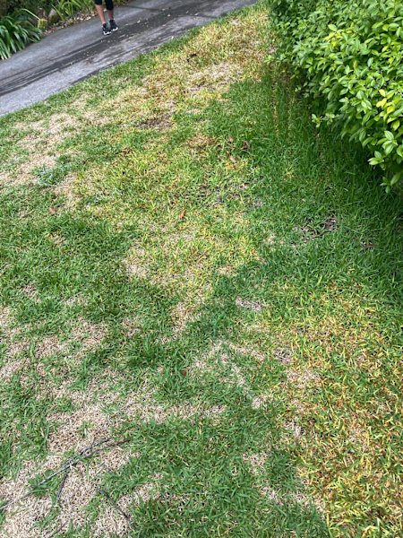 Fast scrap metal and rubbish removal services